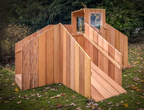 Structure de motricité extérieure en bois